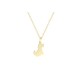 Acero inoxidable collarcito perrito sentado dorado